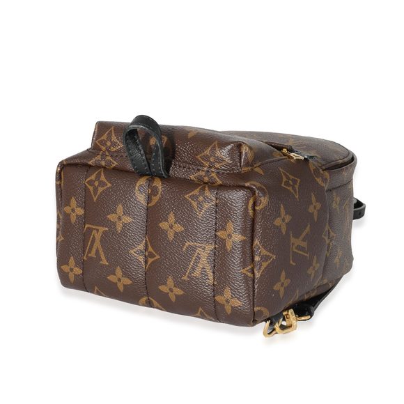 Louis Vuitton Monogram Canvas Palm Springs Mini Backpack - Picture 6 of 7